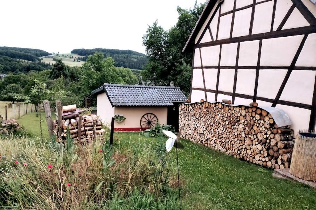 Apartamento Loft Eifel Idylle Nettersheim Exterior foto
