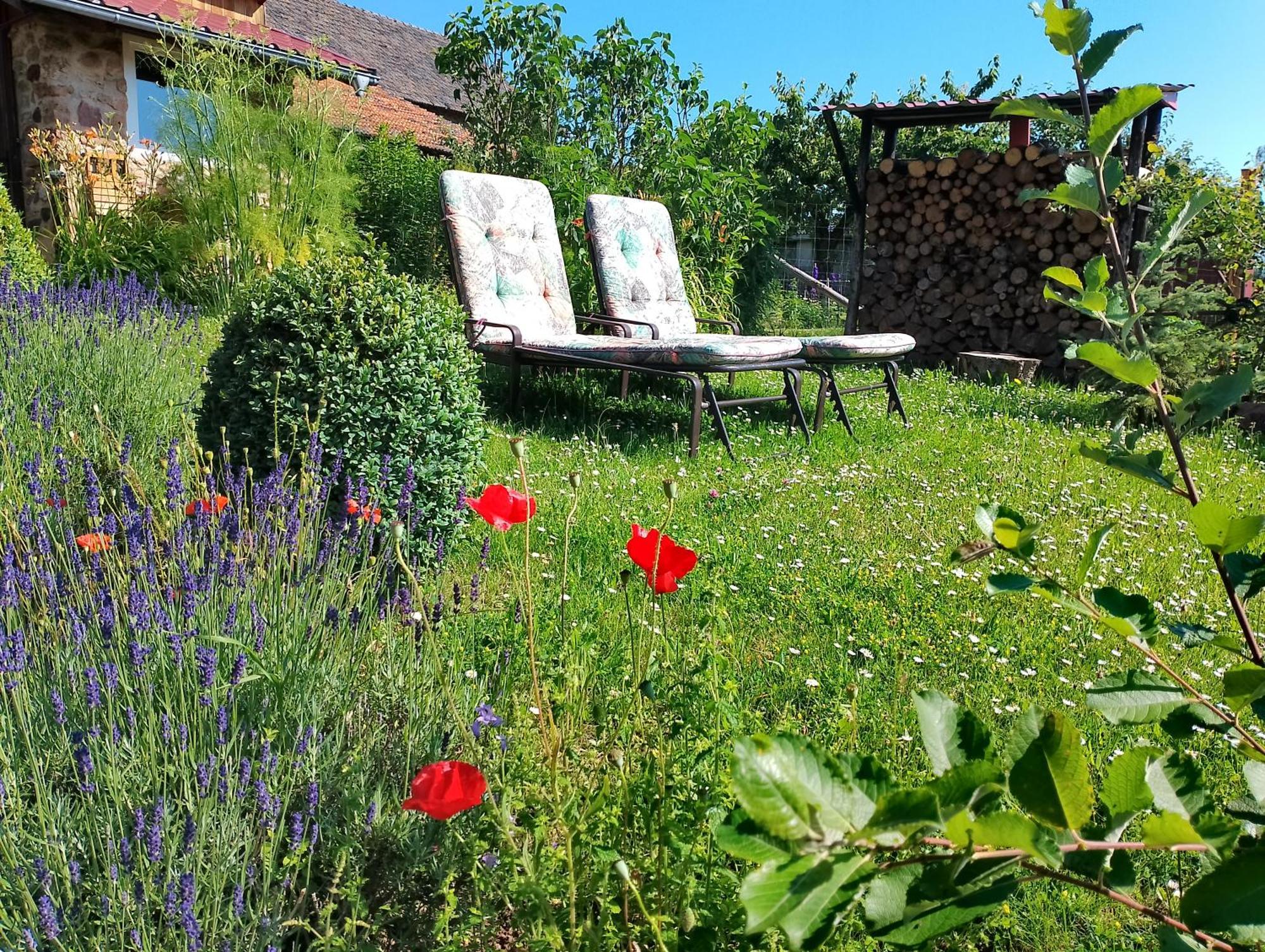 Apartamento Loft Eifel Idylle Nettersheim Exterior foto